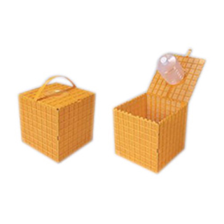 caja-paquetes-de-abejas-plastico-desmontable